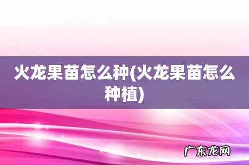 火龙果苗怎么种植 火龙果苗怎么种