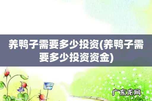 养鸭子需要多少投资资金 养鸭子需要多少投资