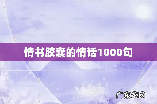 情书胶囊的情话1000句