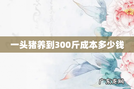 一头猪养到300斤成本多少钱