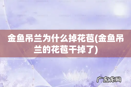 金鱼吊兰的花苞干掉了 金鱼吊兰为什么掉花苞