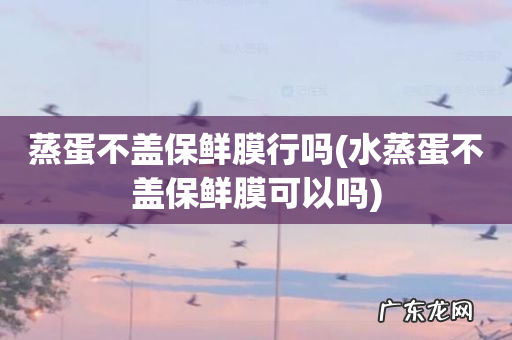水蒸蛋不盖保鲜膜可以吗 蒸蛋不盖保鲜膜行吗