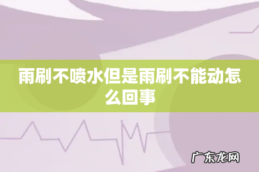 雨刷不喷水但是雨刷不能动怎么回事
