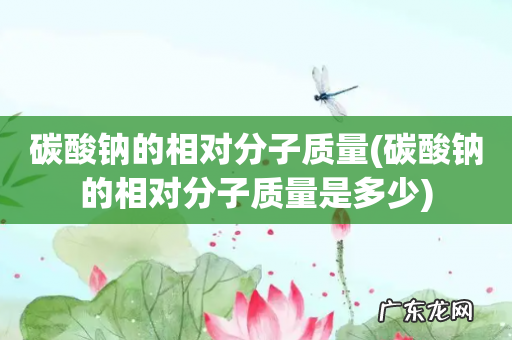 碳酸钠的相对分子质量是多少 碳酸钠的相对分子质量