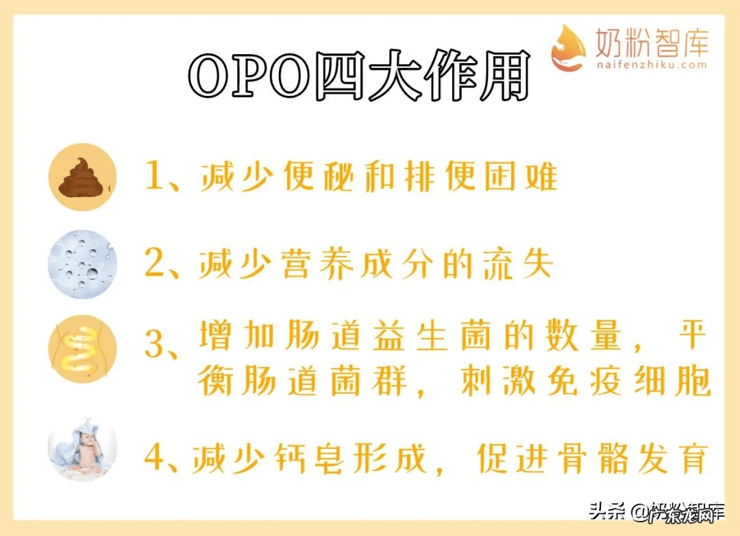 国产的奶粉都有哪些