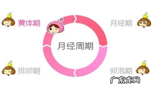 排卵期周期表计算 排卵日计算方法