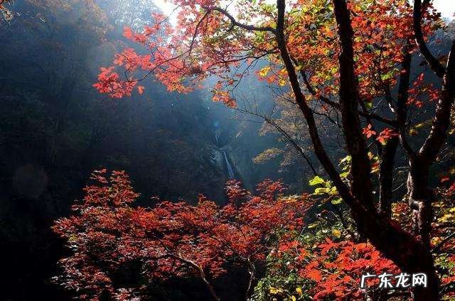 洛阳龙脉在哪里 栾川盘龙湖最新消息