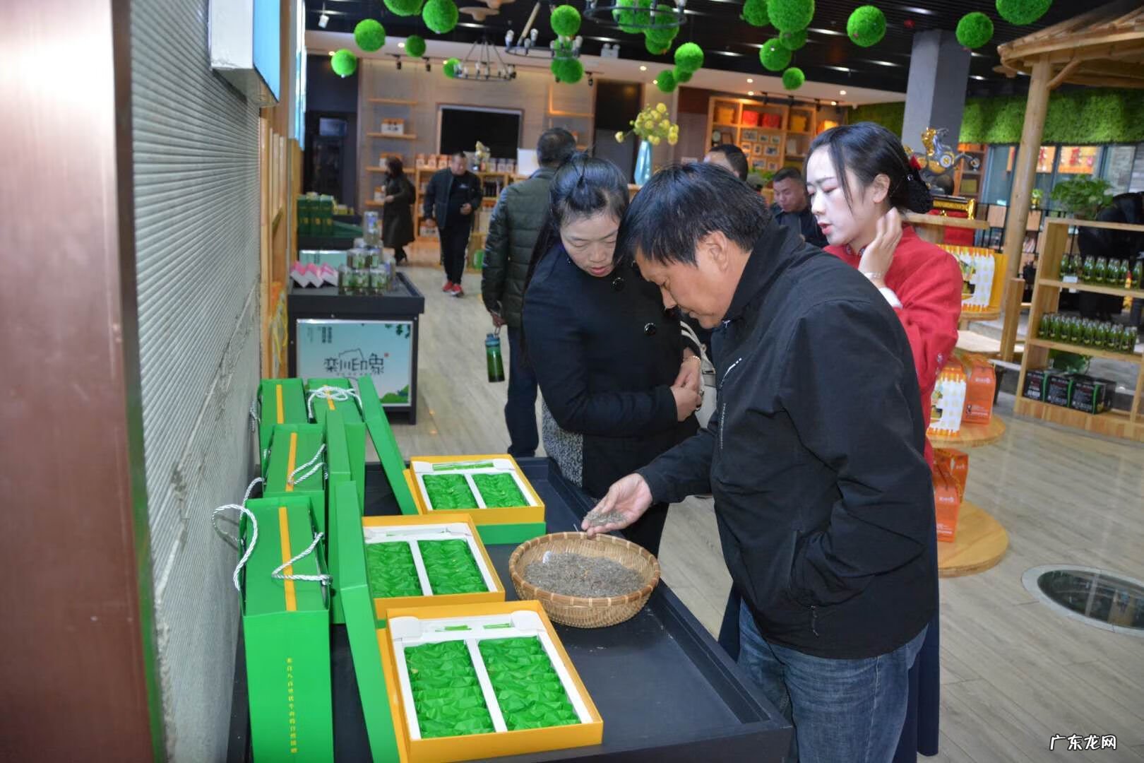 洛阳龙脉在哪里 栾川盘龙湖最新消息