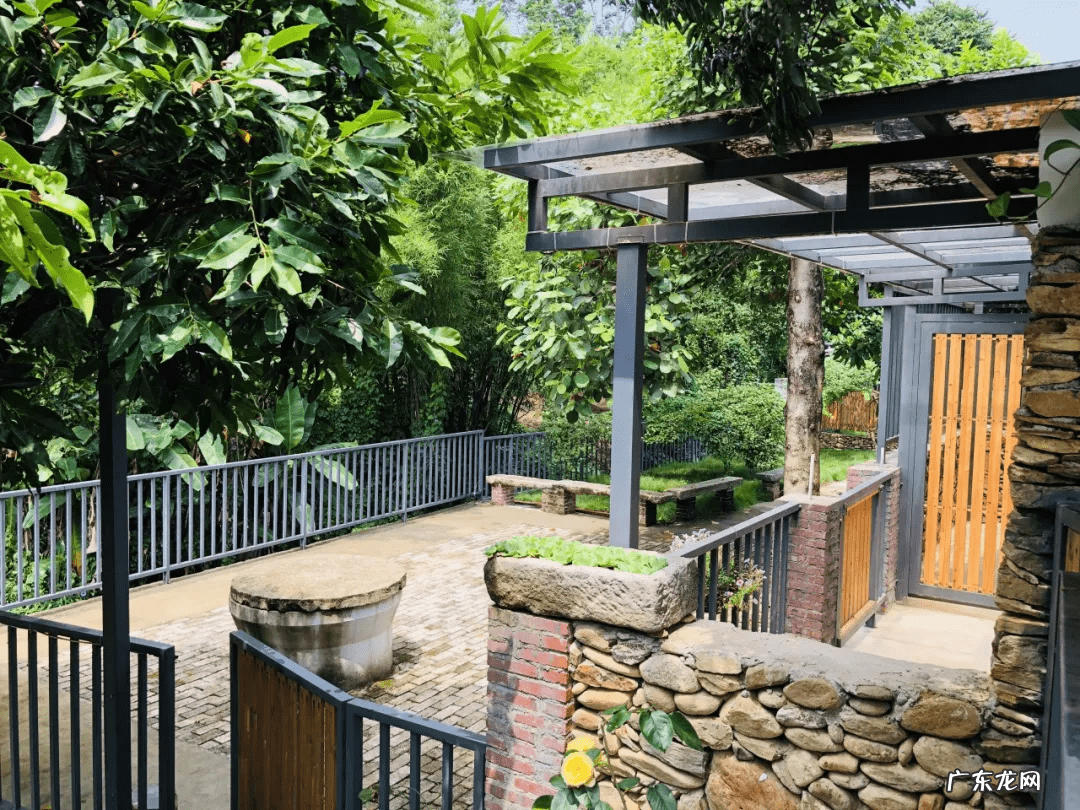 惠州玉兰口腔收费 惠州玉兰农场风水