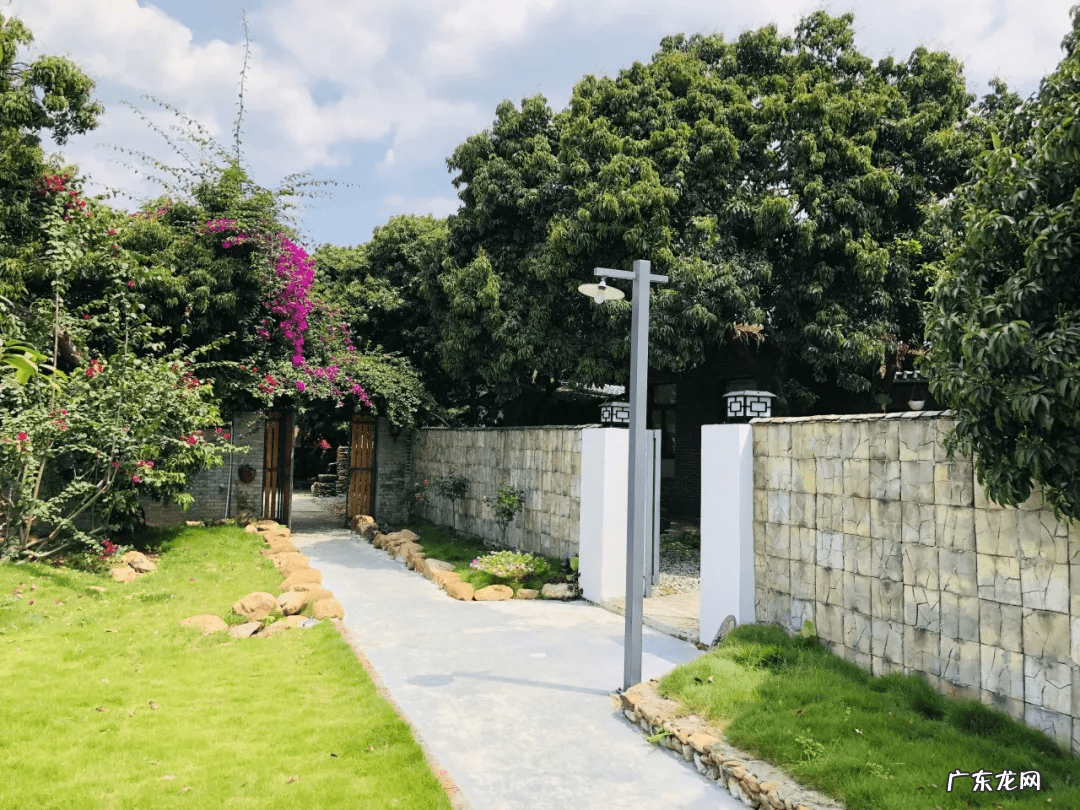 惠州玉兰口腔收费 惠州玉兰农场风水