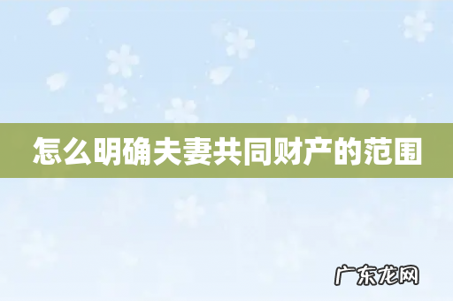 怎么明确夫妻共同财产的范围