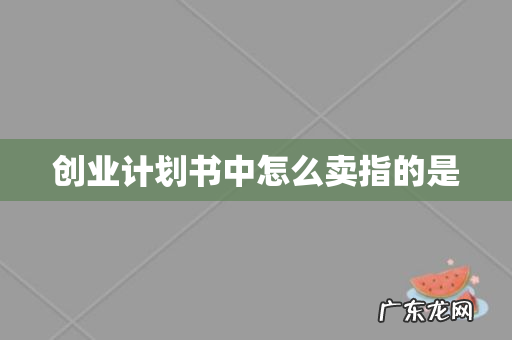 创业计划书中怎么卖指的是