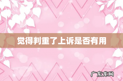 觉得判重了上诉是否有用