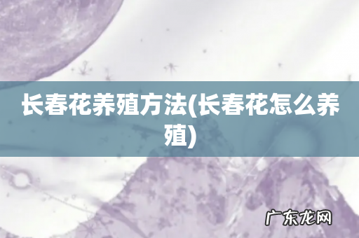 长春花怎么养殖 长春花养殖方法