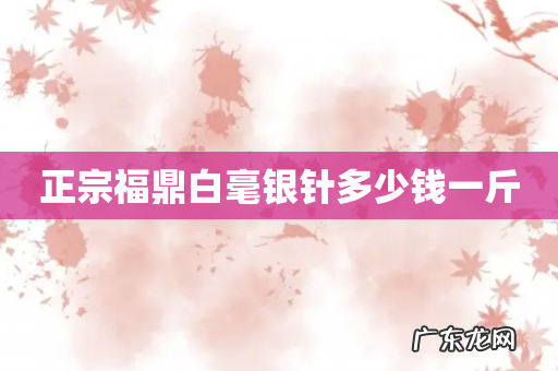 正宗福鼎白毫银针多少钱一斤