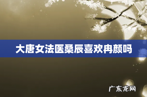 大唐女法医桑辰喜欢冉颜吗