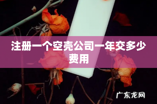 注册一个空壳公司一年交多少费用