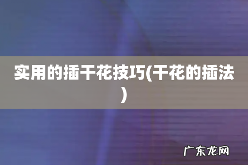 干花的插法 实用的插干花技巧