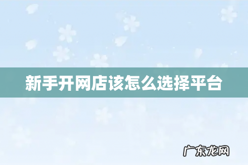 新手开网店该怎么选择平台