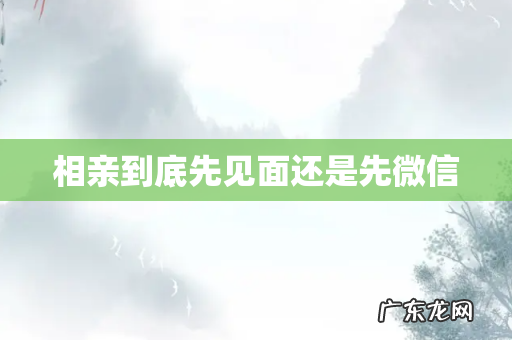 相亲到底先见面还是先微信