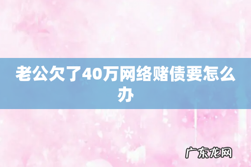 老公欠了40万网络赌债要怎么办