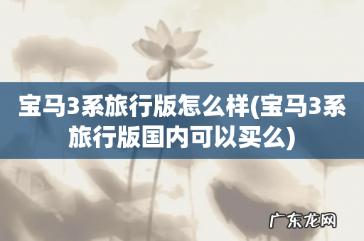 宝马3系旅行版国内可以买么 宝马3系旅行版怎么样