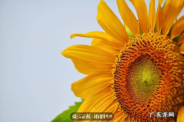 秋天的景色是什么样的 秋天的风景图片大全 大自然 真实