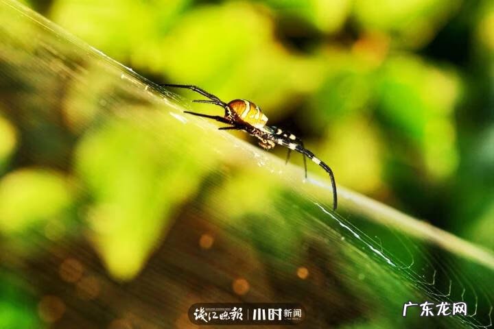 秋天的景色是什么样的 秋天的风景图片大全 大自然 真实