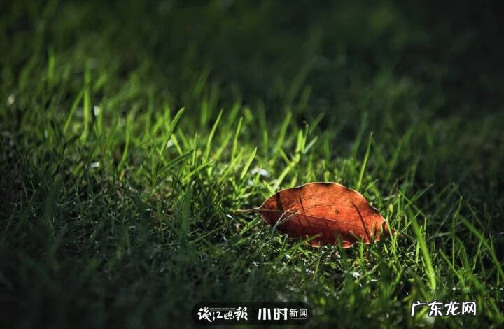 秋天的景色是什么样的 秋天的风景图片大全 大自然 真实