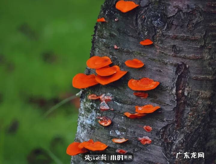 秋天的景色是什么样的 秋天的风景图片大全 大自然 真实
