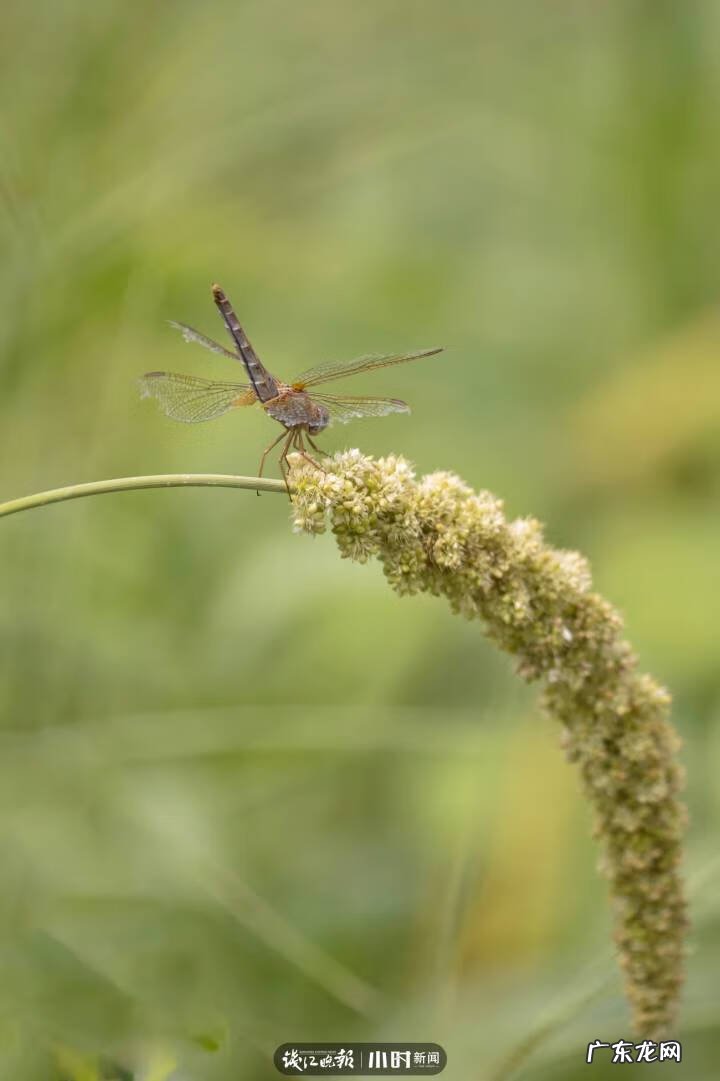秋天的景色是什么样的 秋天的风景图片大全 大自然 真实