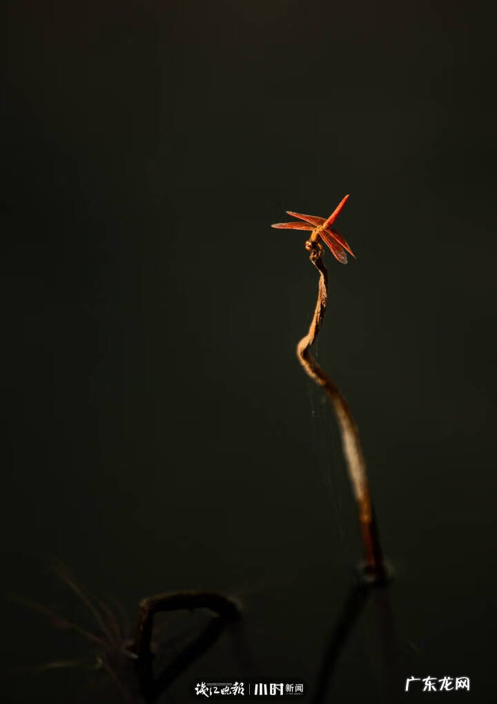 秋天的景色是什么样的 秋天的风景图片大全 大自然 真实