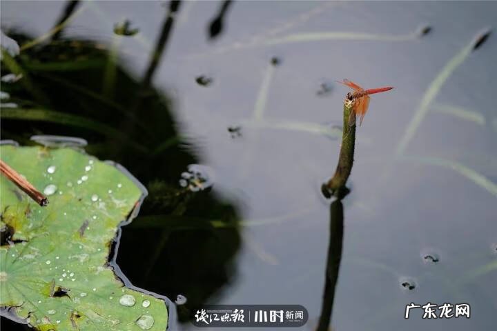 秋天的景色是什么样的 秋天的风景图片大全 大自然 真实