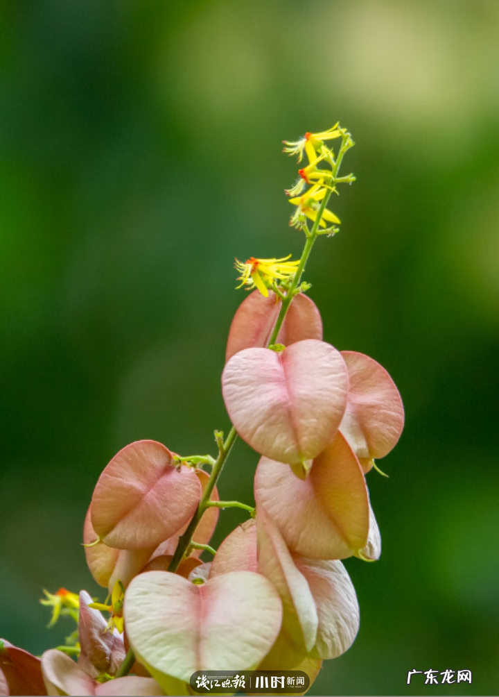 秋天的景色是什么样的 秋天的风景图片大全 大自然 真实