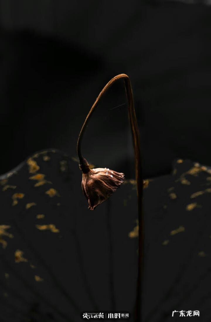 秋天的景色是什么样的 秋天的风景图片大全 大自然 真实