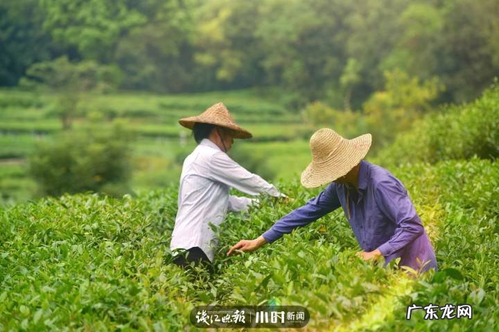秋天的景色是什么样的 秋天的风景图片大全 大自然 真实