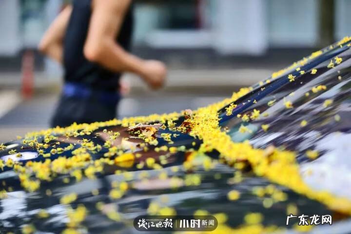 秋天的景色是什么样的 秋天的风景图片大全 大自然 真实