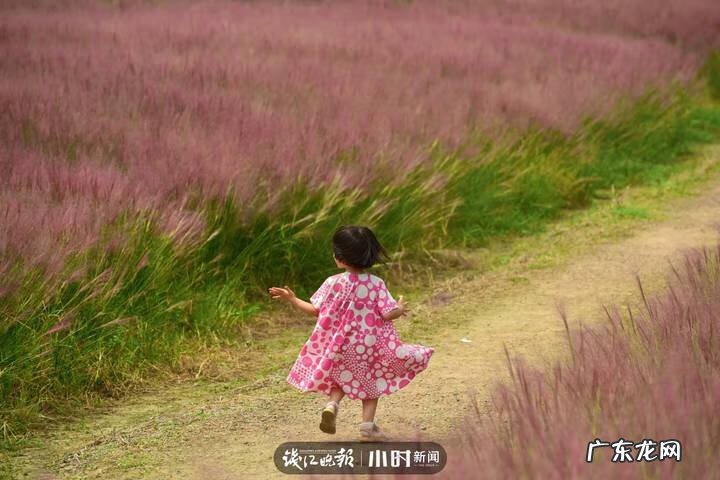 秋天的景色是什么样的 秋天的风景图片大全 大自然 真实