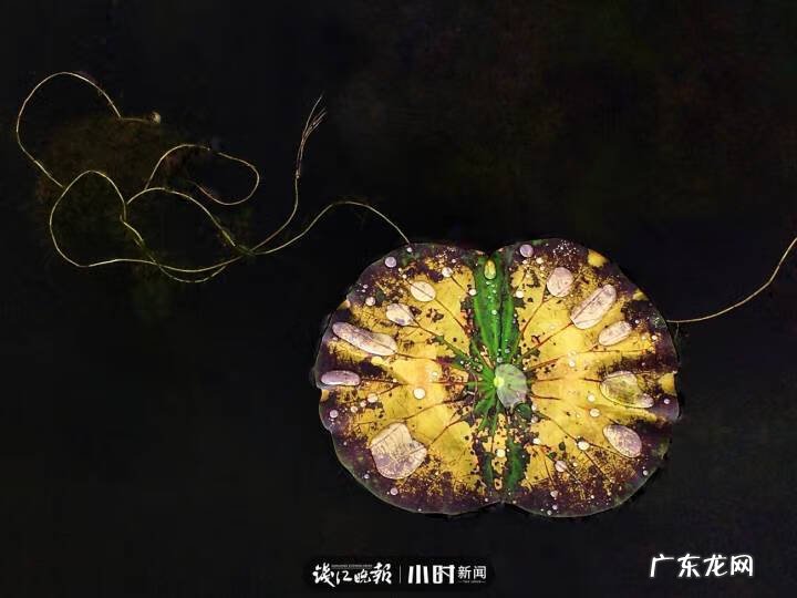 秋天的景色是什么样的 秋天的风景图片大全 大自然 真实