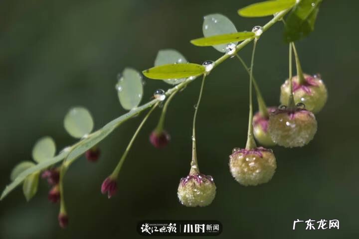 秋天的景色是什么样的 秋天的风景图片大全 大自然 真实