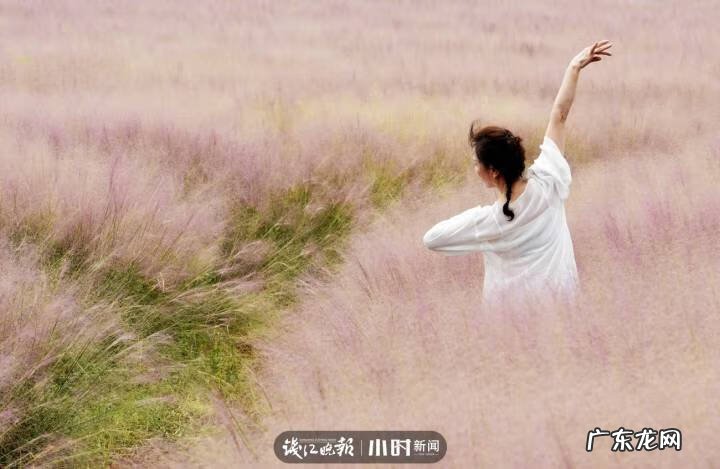 秋天的景色是什么样的 秋天的风景图片大全 大自然 真实