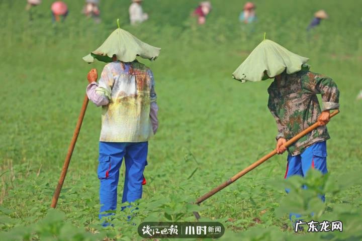 秋天的景色是什么样的 秋天的风景图片大全 大自然 真实