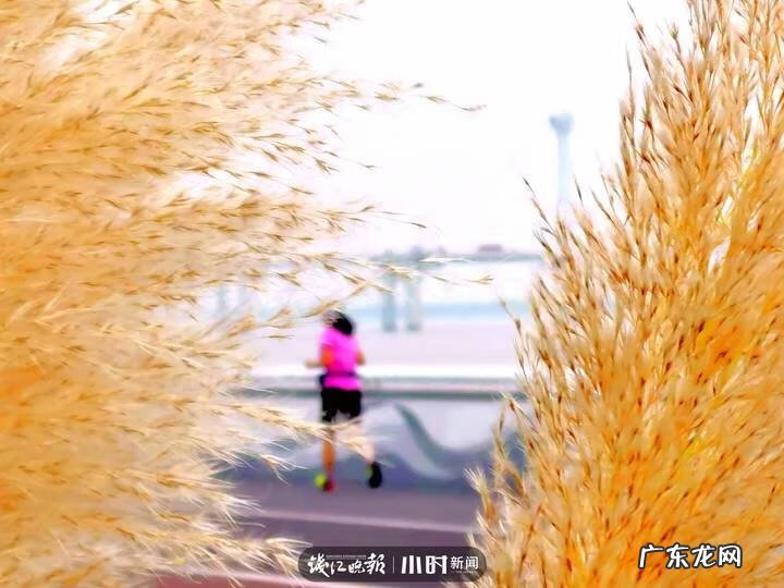 秋天的景色是什么样的 秋天的风景图片大全 大自然 真实