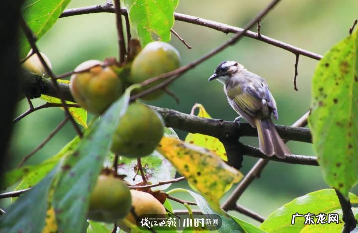 秋天的景色是什么样的 秋天的风景图片大全 大自然 真实