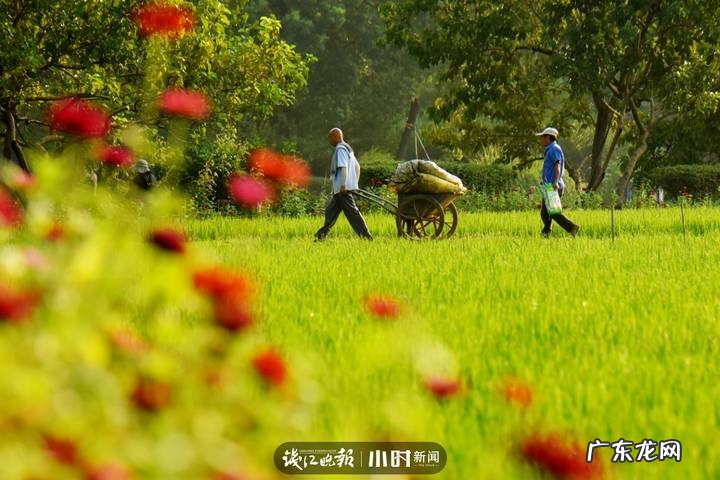 秋天的景色是什么样的 秋天的风景图片大全 大自然 真实