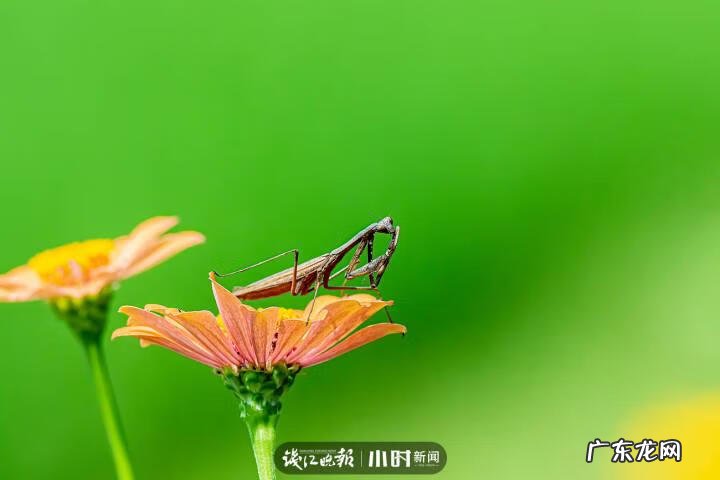 秋天的景色是什么样的 秋天的风景图片大全 大自然 真实