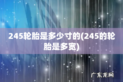 245的轮胎是多宽 245轮胎是多少寸的