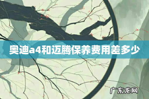 奥迪a4和迈腾保养费用差多少