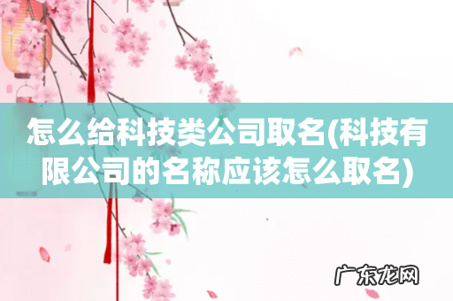 科技有限公司的名称应该怎么取名 怎么给科技类公司取名