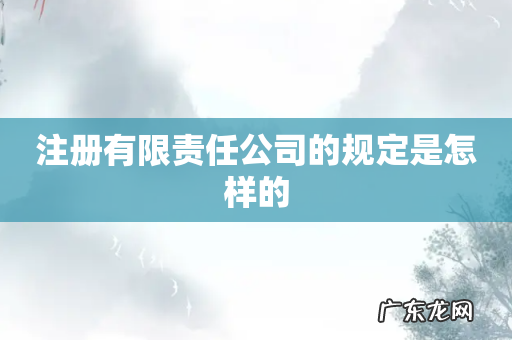 注册有限责任公司的规定是怎样的